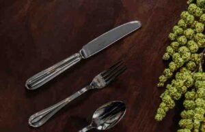 My Review of the Oneida Moda Satin Set