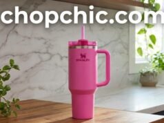 Why Is the STANLEY Quencher H2.0 Tumbler (40 oz) So Popular? _40 oz Stanley Quencher H2.0 tumbler fitting perfectly in a car cup holder for hydration on the go - ChopChic.com