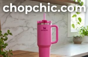 Why Is the STANLEY Quencher H2.0 Tumbler (40 oz) So Popular? _40 oz Stanley Quencher H2.0 tumbler fitting perfectly in a car cup holder for hydration on the go - ChopChic.com