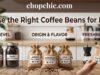 How to Choose the Right Coffee Beans for Home Brewing _A flat lay composition of specialty coffee beans categorized by light, medium, and dark roast levels, arranged alongside global origin tags and various brewing tools, including a French press, V60 dripper, and espresso portafilter.