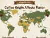 How Coffee Origin Affects Flavor: Exploring Terroir in Your Cup _A conceptual map of the "Coffee Belt" highlighting three distinct regions—Ethiopia, Colombia, and Sumatra—with icons representing their signature flavor profiles (floral/citrus, nutty/chocolate, and earthy/spice).
