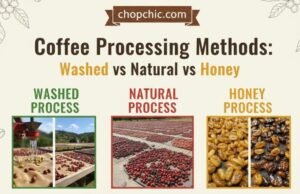 How Processing Methods Affect Coffee Flavor: Washed vs Natural vs Honey _A visual spectrum of coffee processing showing a clean "Washed" bean, a sticky "Honey" bean, and a dried fruit "Natural" bean side-by-side, illustrating the progression of fruit fermentation and its impact on sweetness.