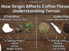 How Origin Affects Coffee Flavor: Understanding Terroir _A landscape view of a high-altitude coffee plantation on a steep volcanic slope, illustrating the misty climate and rich soil conditions that contribute to complex flavor development.