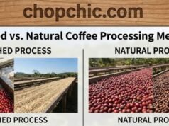 Washed vs. Natural vs. Honey: How Processing Methods Affect the Final Acidity _A visual diagram comparing three coffee processing methods: Washed (clean bean), Honey (mucilage-coated bean), and Natural (whole cherry), illustrating how the remaining fruit layers impact the final acidity and sweetness of the brew.