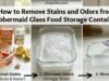 How to Remove Stains and Odors from Rubbermaid Glass Food Storage Containers _A stained Rubbermaid plastic container being cleaned using baking soda, vinegar, and the viral TikTok paper towel hack to remove tomato residue.